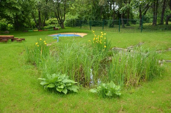 Biologiczne oczko wodne tzw. Climapond, gromadzące wodę opadowa z dachu Przedszkola Publicznego nr 1