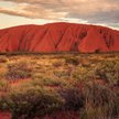 Uluru (Ayers Rock), święte miejsce Aborygenów, pod którym dokonał się istny mord założycielski