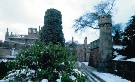 Zamek księcia Woroncowa w Ałupce na Krymie