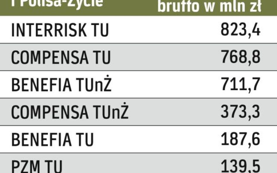 Biznes VIG w Polsce