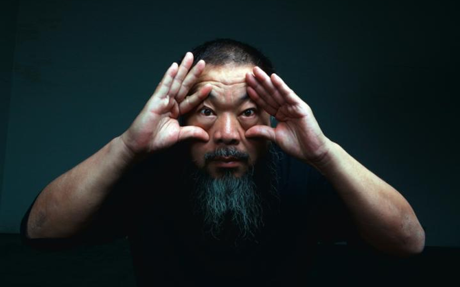 Ai Weiwei, dowody przestępstwa