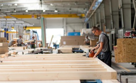 Danwood Holding zawiesił ofertę