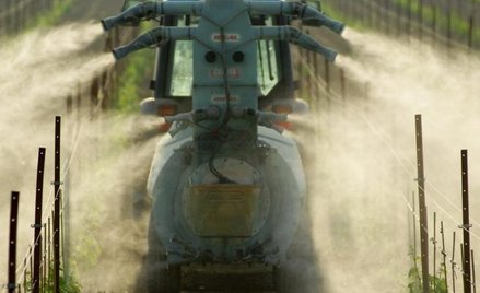 We francuskim rolnictwie najwięcej pestycydów przypada na winnice