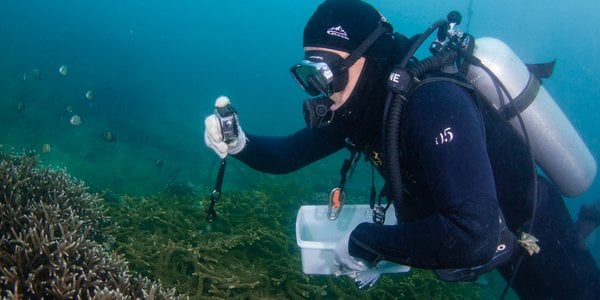 Ziemia przekroczyła pierwszy klimatyczny punkt krytyczny. Eksperci biją na alarm