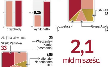 Dzięki niskim cenom gazu rosną zyski Azotów