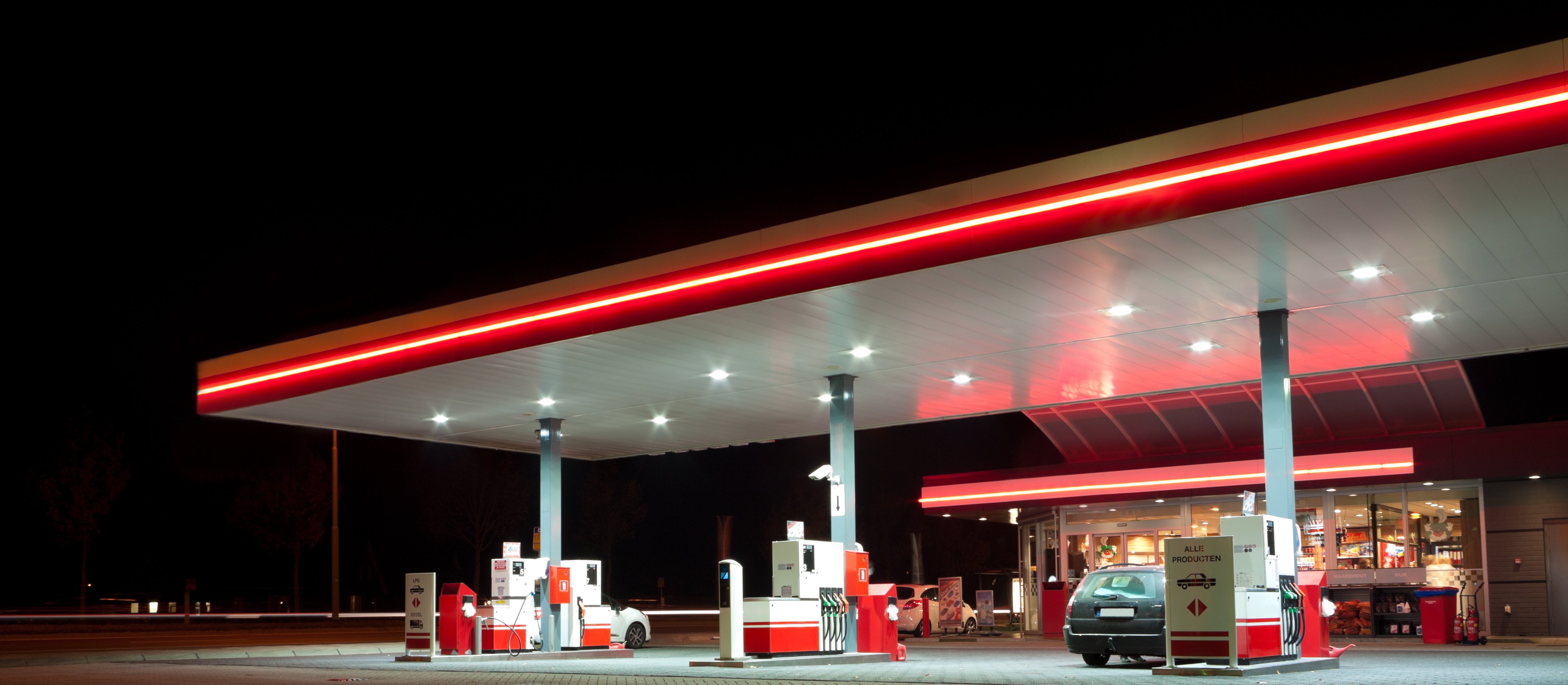 Małpki królują na stacjach benzynowych. Stacje walczą o handel procentami