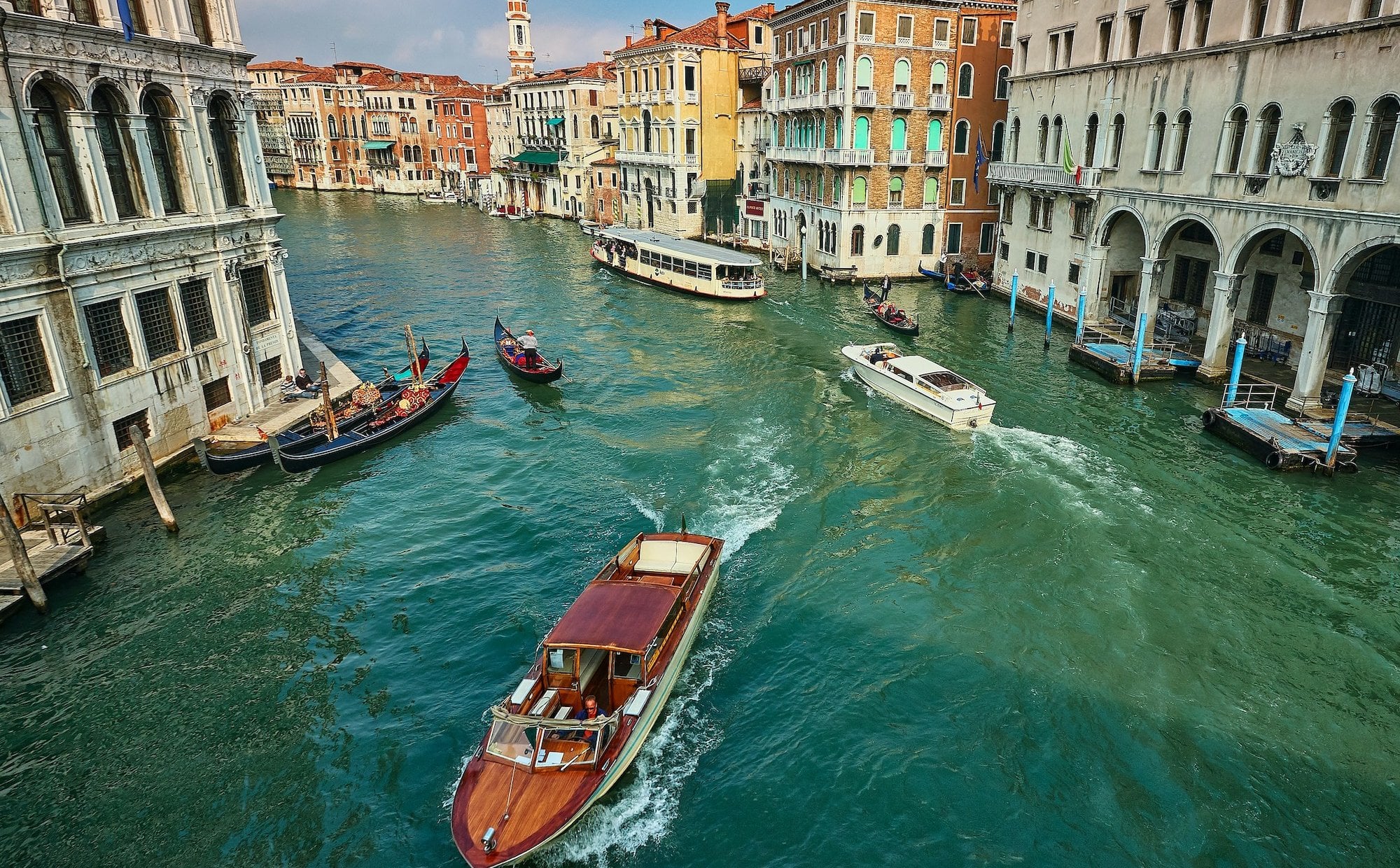 Groźny gatunek krąży wokół Wenecji. Włosi szukają metody na inwazję żebropławów