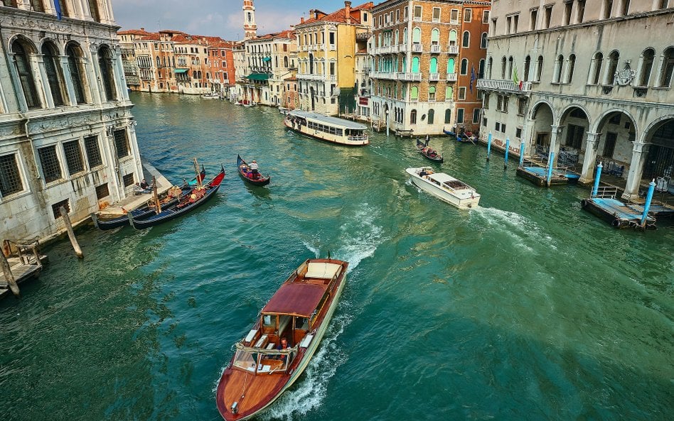 Pojawienie się żarłocznych żebropławów w wodach Adriatyku to zasługa zmian klimatu i ocieplania się 