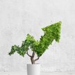 AI in ESG Investing