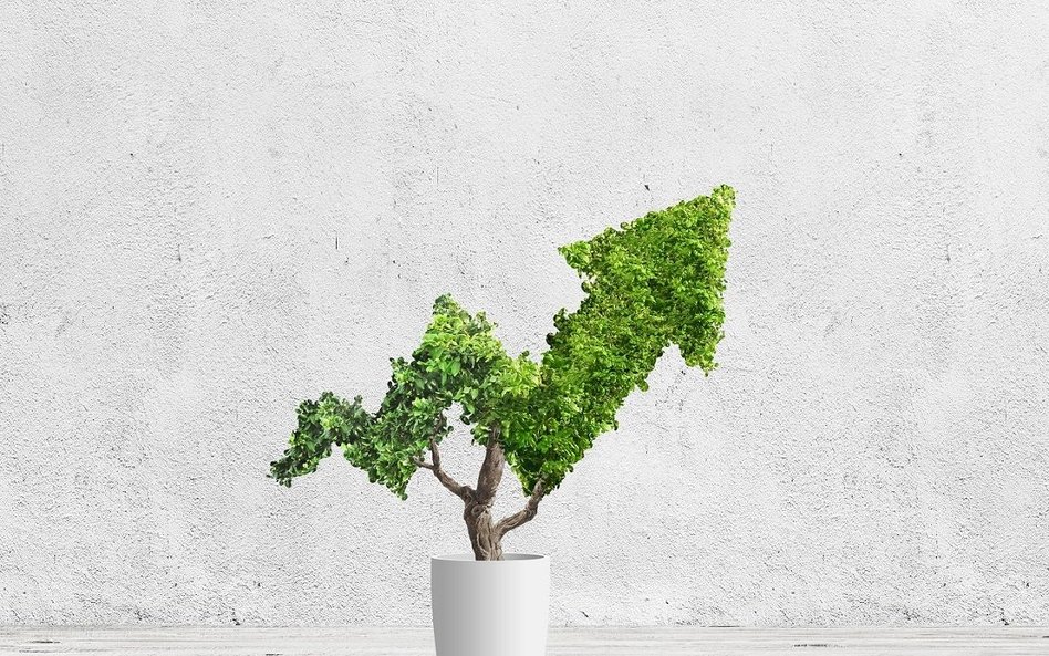 AI in ESG Investing