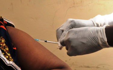 Szczepionka na wirusa ebola ma być gotowa w 2018 roku