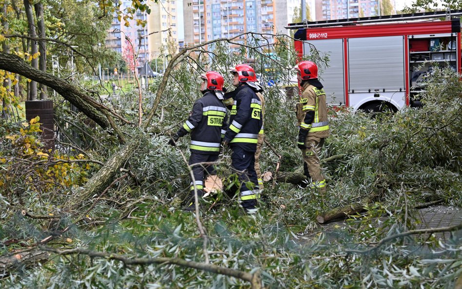 Interwencja strażaków po przejściu silnego wiatru