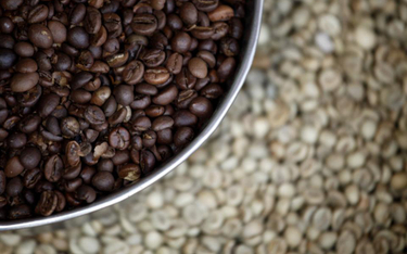 Tanzania może stracić niemal jedną trzecią zbiorów kawy