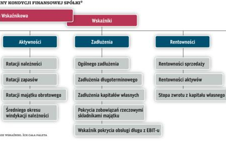 Analiza wskaźnikowa, czyli cenne narzędzie oceny finansów spółki