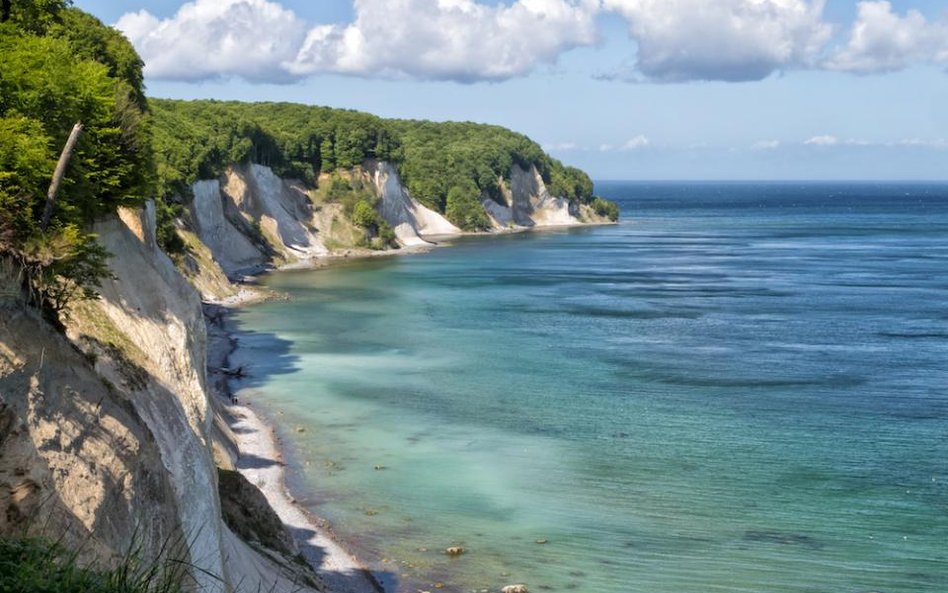 Naukowcy pomogą miastom nad morskim brzegiem