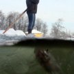 Zdjęcie zrobione przez zanurzoną do połowy kamerę, pokazuje małe rybki pływające w pobliżu człowieka