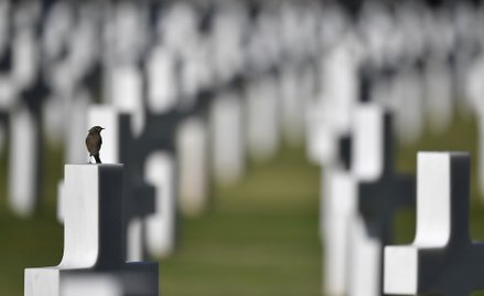 Zbiórka dla prześladowanych chrześcijan