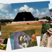 Festiwal Glastonbury zagra online