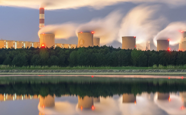 Udział węgla w energetyce: w Europie 14%, w Polsce ponad 70%