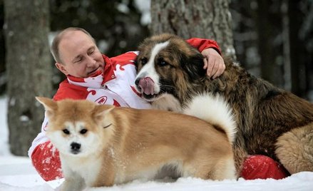 Ocieplające wizerunek Władimira Putina sceny z psami