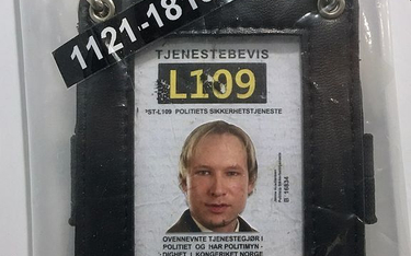 Breivik chce wcześniej wyjść z więzienia