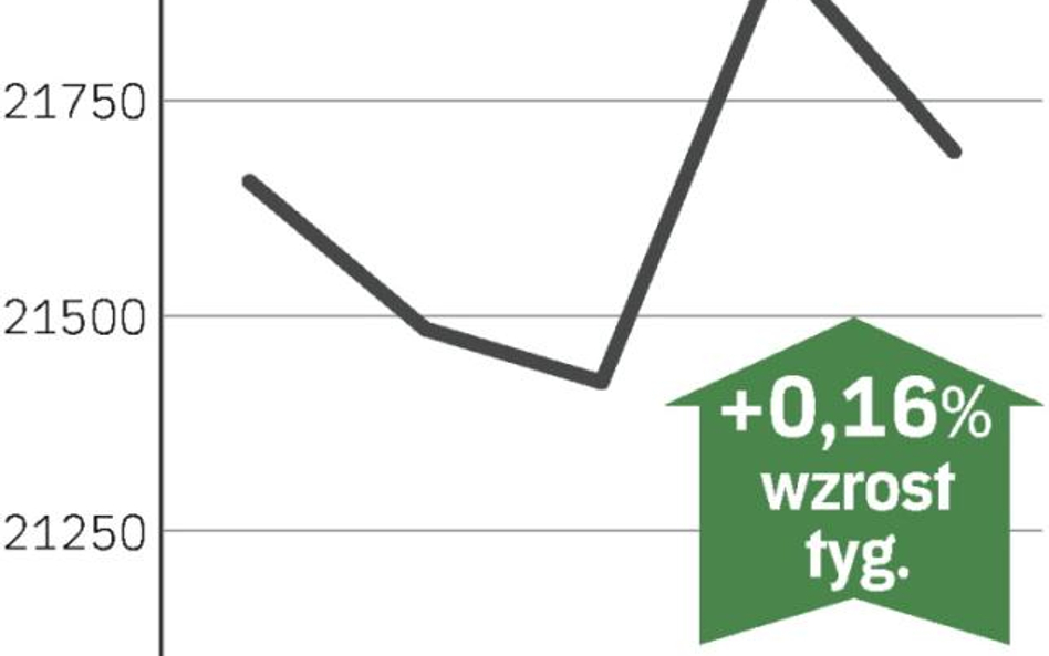 Złoty dyktuje zachowanie rynku obligacji i giełdy