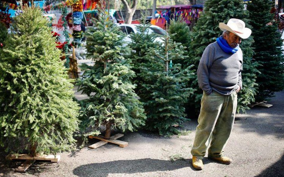 Na świątecznym targu w Meksyku.