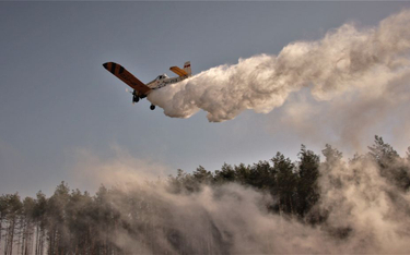 Ludzie i dromadery Airbusa walczą z ogniem nad Biebrzą