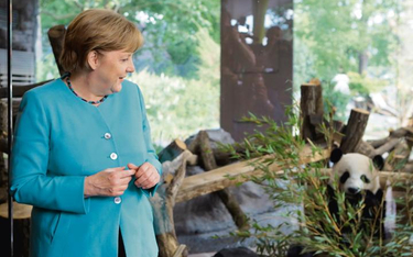 Podczas spotkania Xi Jinpinga z Angelą Merkel w 2017 r. przywódcy Chin i Niemiec wspólnie odwiedzili
