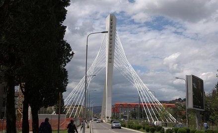 fot. Francisco Antunes