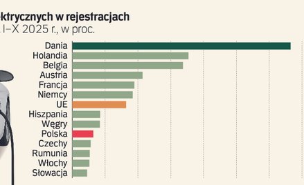 Elektryki nie tak szybko? Bruksela pod presją