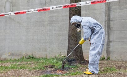 Korowódka opanowuje kolejne miasta w Europie. Zamykane są przedszkola i place zabaw