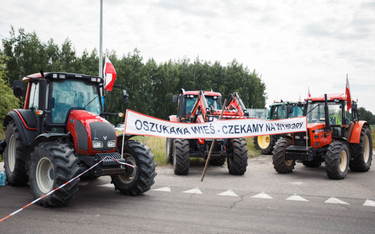 Protest rolników na drodze do przejścia granicznego w Dorohusku
