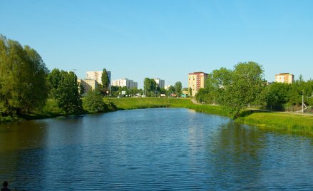 Jedną z ważniejszych inwestycji zaplanowanych na najbliższe lata w Toruniu jest rekultywacja Kaszown