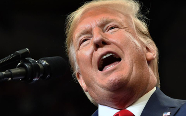 Impeachment Donalda Trumpa: Zarzuty najcięższego kalibru