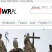 Portal Wirtualna Polska przeprasza polskich sędziów po interwencji "Iustitii"