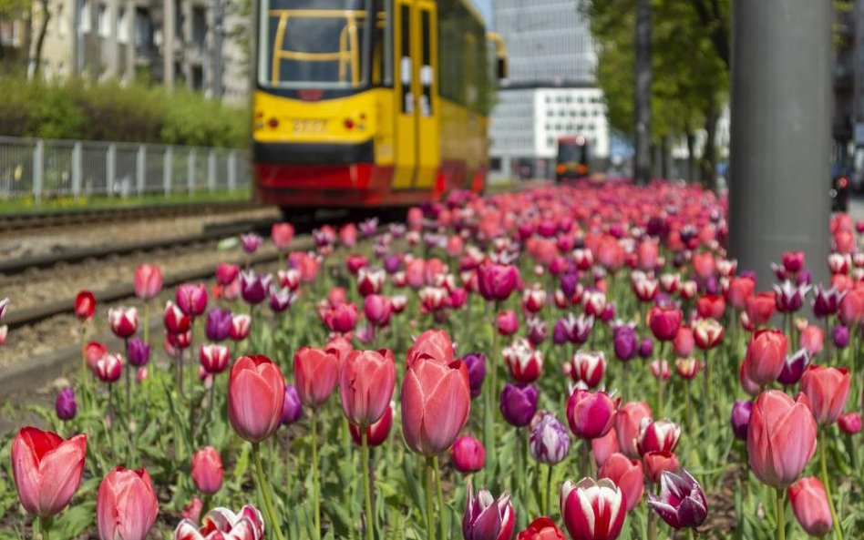 Rząd daje 1,7 mld euro na metro i tramwaje