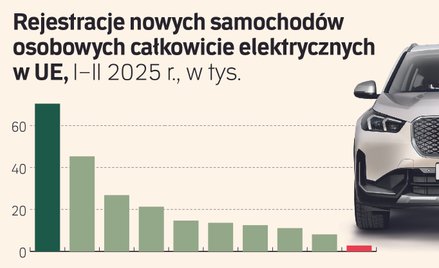 Europa przeprasza się z autami na prąd