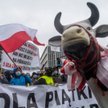 We wtorek przeciwko tzw. piątce dla zwierząt protestowali w Warszawie rolnicy