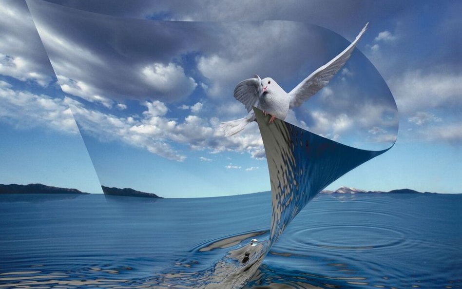 Ryszard Horowitz, Waterscape, 2006