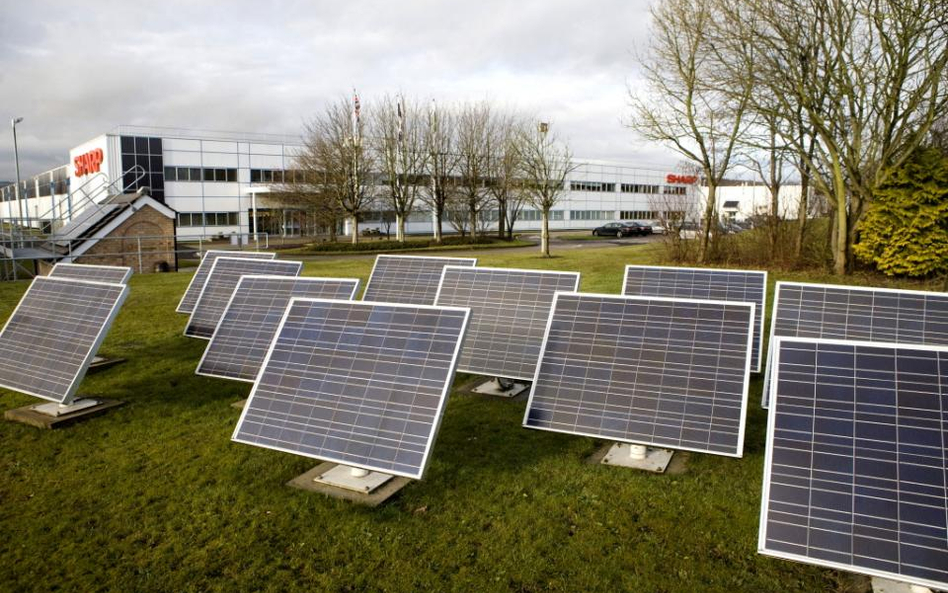 Energa traci na wadliwych przepisach dotyczących obowiązków sprzedawców z urzędu