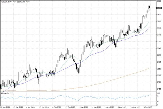 Notowania kakao w USA – dane dzienne