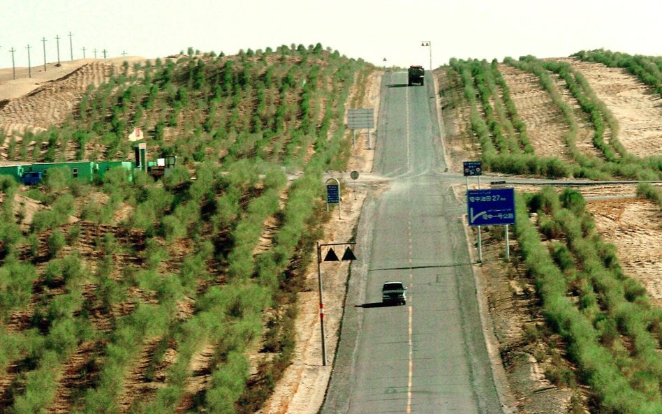 Pasy krzewów wzdłuż drogi w regionie autonomicznym Xinjiang w północno-zachodniej części Chin. Zaroś
