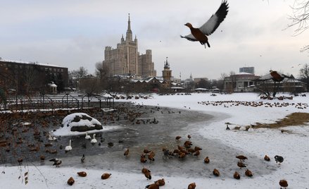 Rosja: Inwestycje zagraniczne najmniejsze od 26 lat