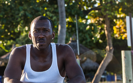 Mahershala Ali, "Moonlight "