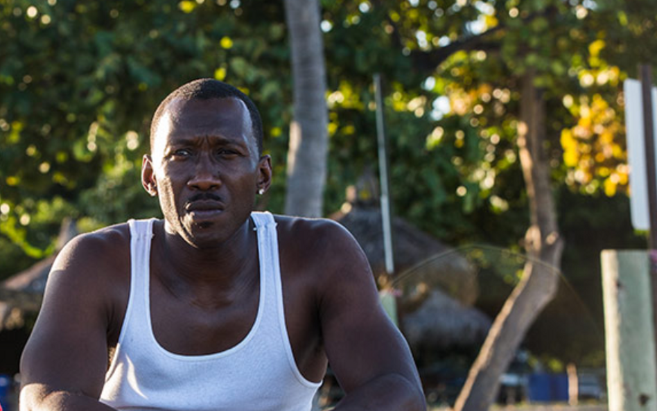 Mahershala Ali, "Moonlight "