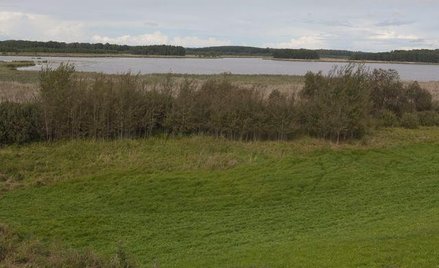 Mazury