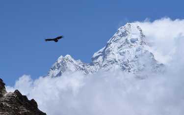 Ciała dwóch himalaistów znalezione na Mount Everest
