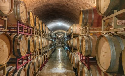 Wino, które „wyprodukował” ChatGPT, nazwano „The End”, co po angielsku oznacza po prostu „koniec”. C