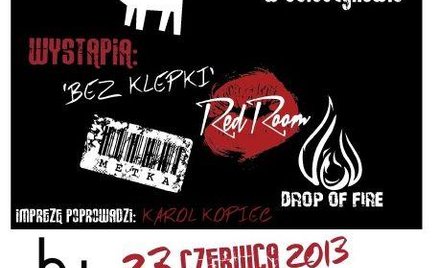 Zagrają dla bezdomnych zwierzaków